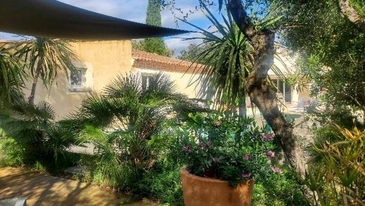 Le Clos Olives Comps  Bagian luar foto