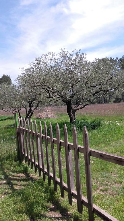 Le Clos Olives Comps  Bagian luar foto