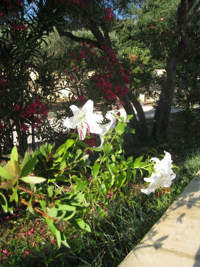 Le Clos Olives Comps  Bagian luar foto
